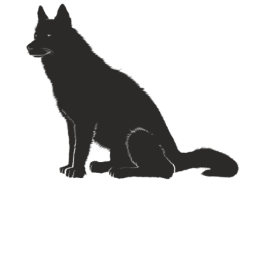 Motiv hund