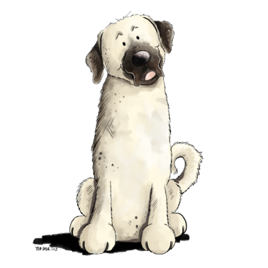 Motiv Lustiger Kangal I Comic Hund