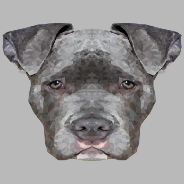 Motiv hund hunde