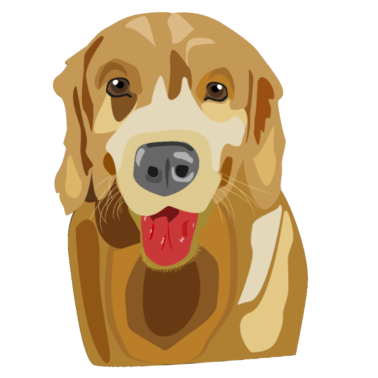 Motiv Hund