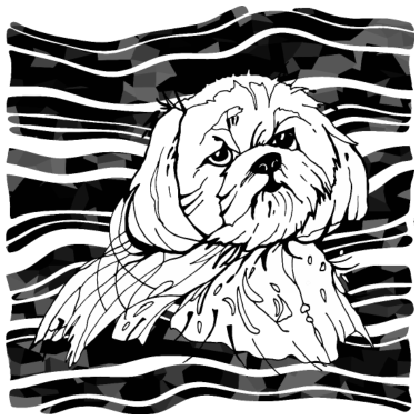 Motiv Hund
