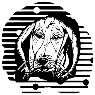Motiv Hund