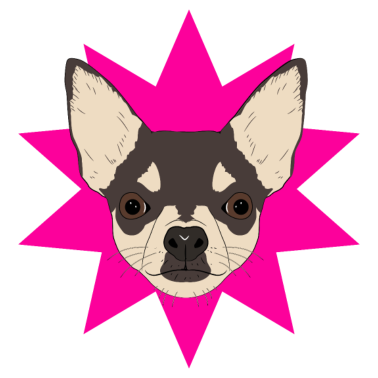 Motiv Hund