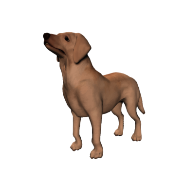 Motiv Hund