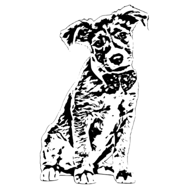 Motiv Hund