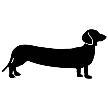 Motiv hunde