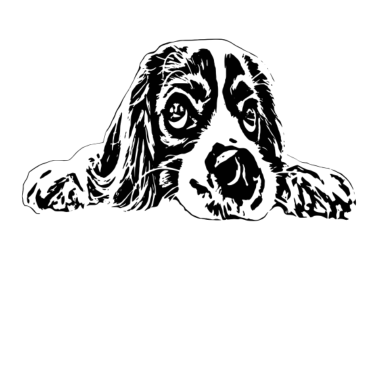 Motiv Hund