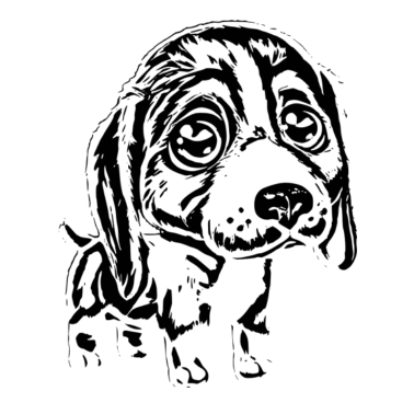 Motiv Hund