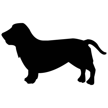 Motiv hund
