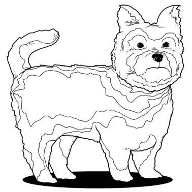 Motiv Hund