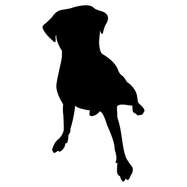 Motiv Hund