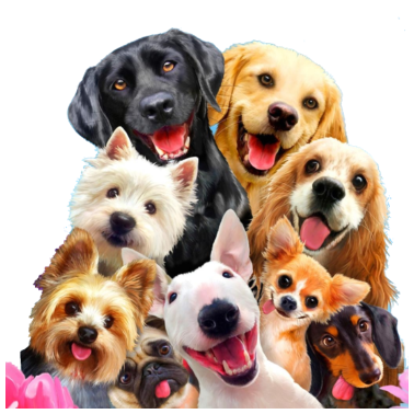 Motiv Hunde