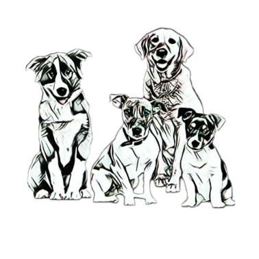 Motiv Hunde