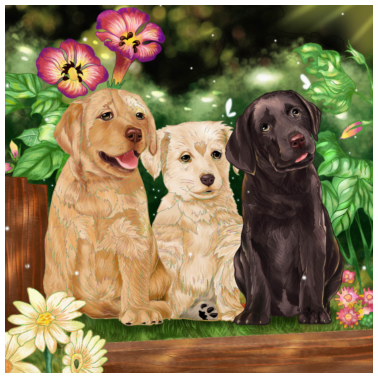 Motiv Hunde