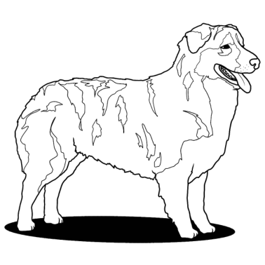 Motiv Hund