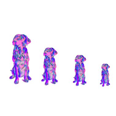 Motiv Hunde