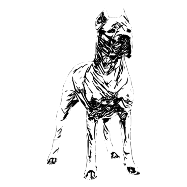 Motiv Hund