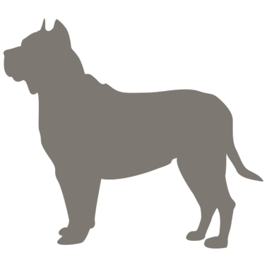Motiv Hund