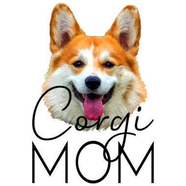 Motiv Hunde