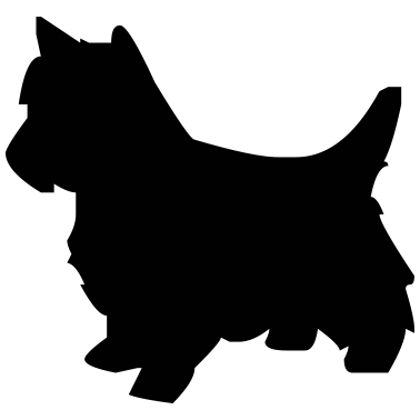 Motiv hund