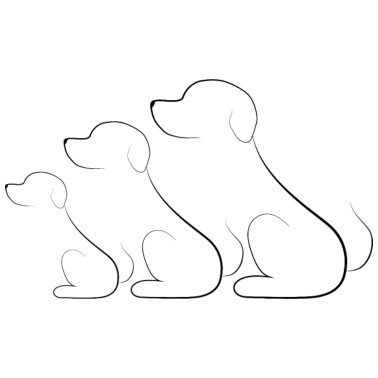 Motiv Hund