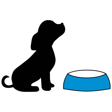 Motiv hund