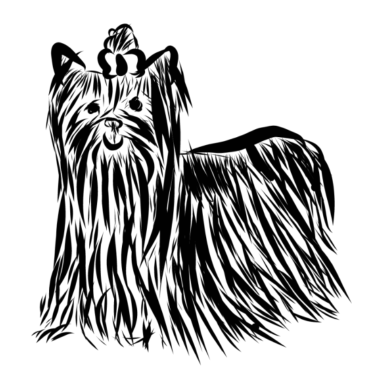 Motiv Hund