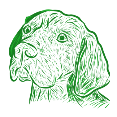 Motiv Hund