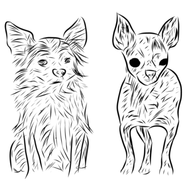 Motiv Hunde