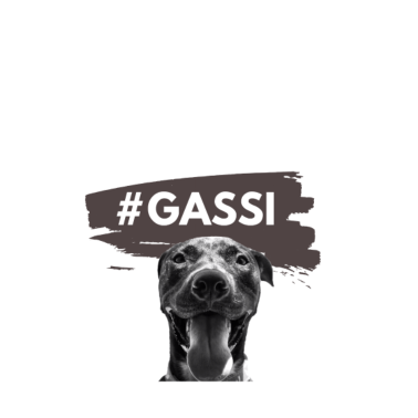 Motiv Hunde