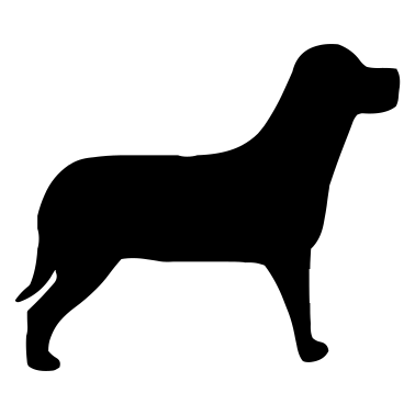 Motiv Hund