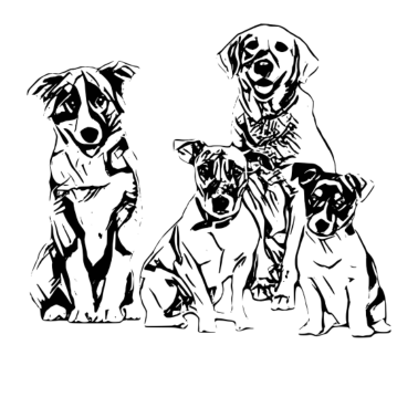 Motiv Hunde