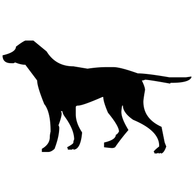 Motiv hund