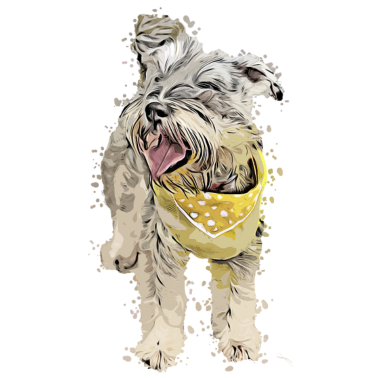 Motiv Hund