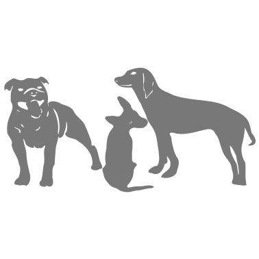 Motiv Hunde
