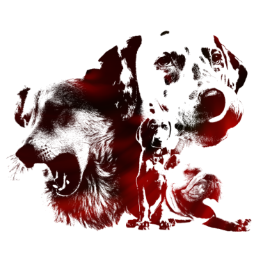 Motiv Hunde