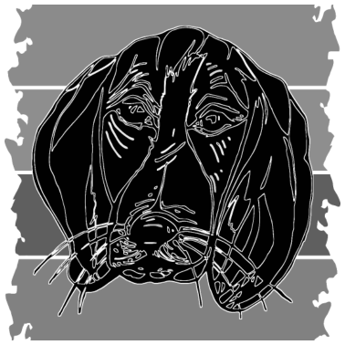 Motiv Hund