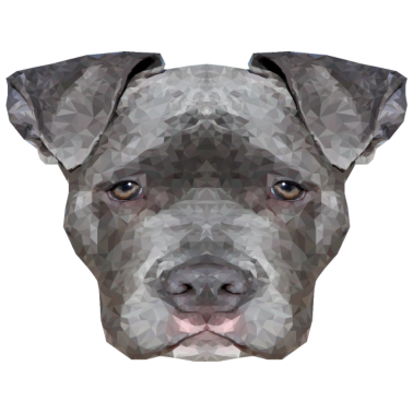 Motiv hund hunde
