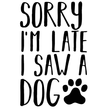 Motiv Hund Hunde