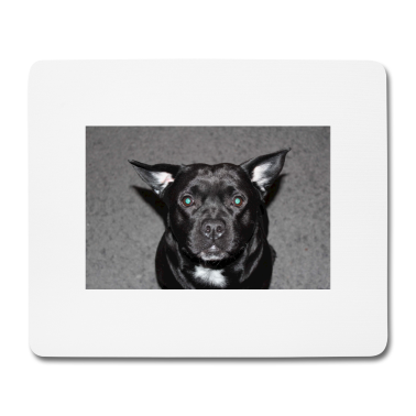 Hunde Mousepad - Hund