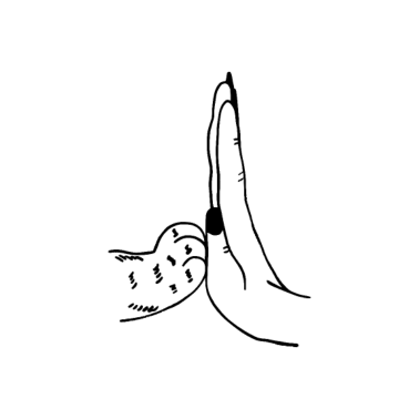 Motiv Katze Katzen Katzenliebe Pfote Frau