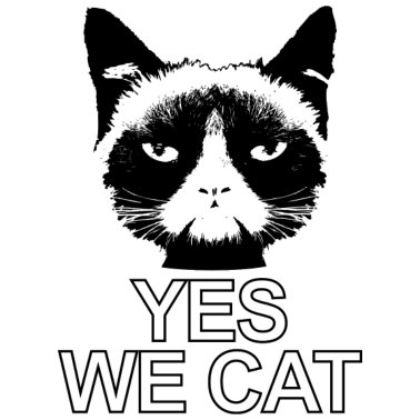 Motiv böse guckende Katze Yes we cat Kater cat