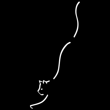 Motiv Katze Silhouette