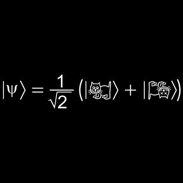 Motiv Schrödingers Katze