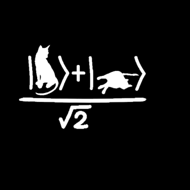 Motiv Schrödingers Katze Physik Quantenmechanik Nerd