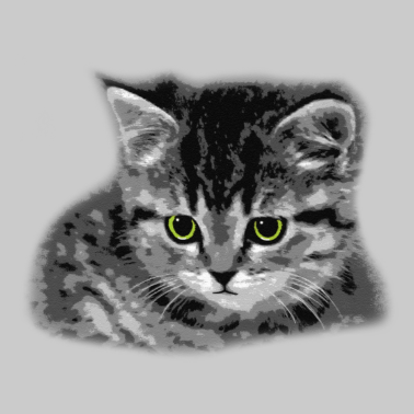 Motiv Katze - grüne Augen