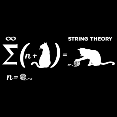 Motiv Schrödingers Stringtheorie