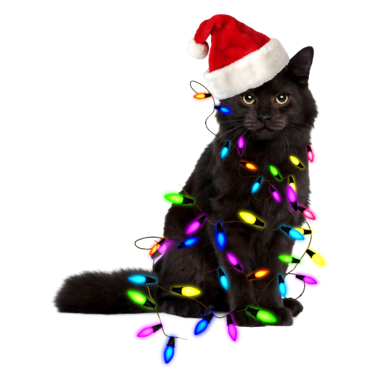 Motiv Weihnachten Katze