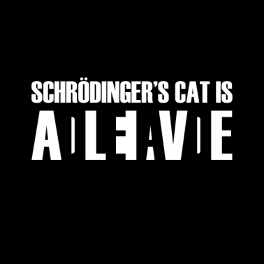 Motiv Schrödingers Katze T-Shirt Studenten Geschenk