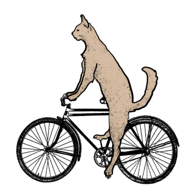 Motiv Katze auf dem Fahrrad
